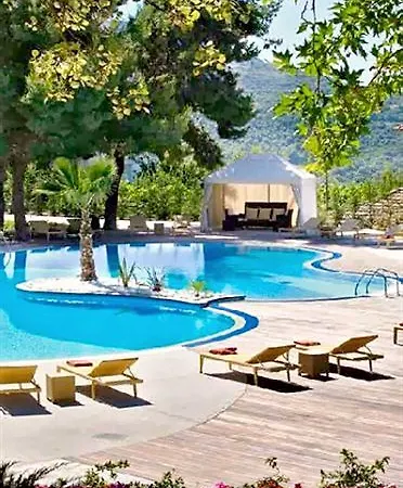 Xenia Palace מלון 4*